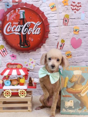 20230915バズくん